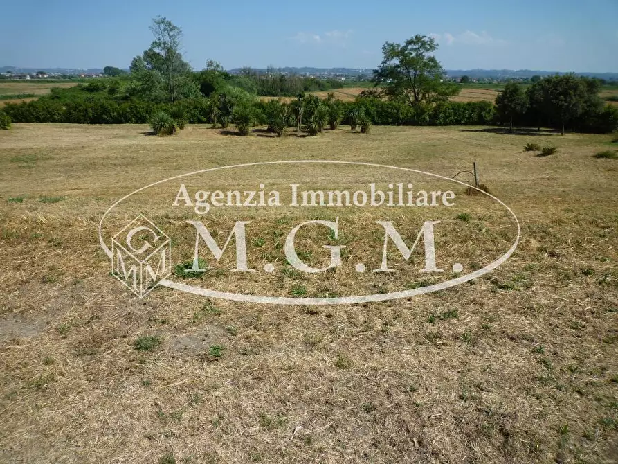 Immagine 16 di Casa colonica in vendita  a Castelfranco Di Sotto