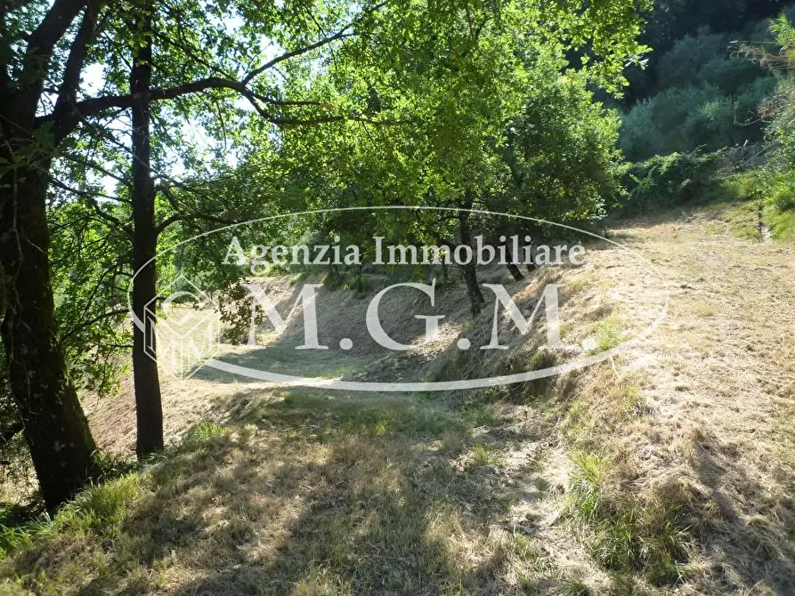 Immagine 27 di Casa colonica in vendita  a Castelfranco Di Sotto