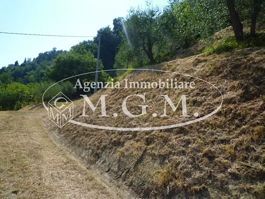 Immagine 24 di Casa colonica in vendita  a Castelfranco Di Sotto