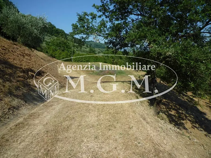 Immagine 23 di Casa colonica in vendita  a Castelfranco Di Sotto