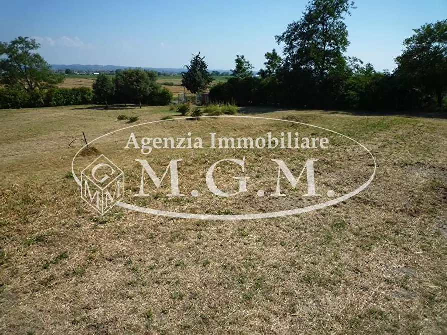 Immagine 17 di Casa colonica in vendita  a Castelfranco Di Sotto