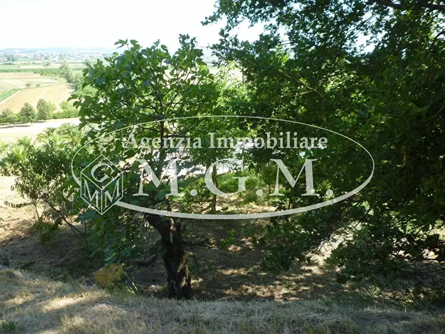 Immagine 28 di Casa colonica in vendita  a Castelfranco Di Sotto