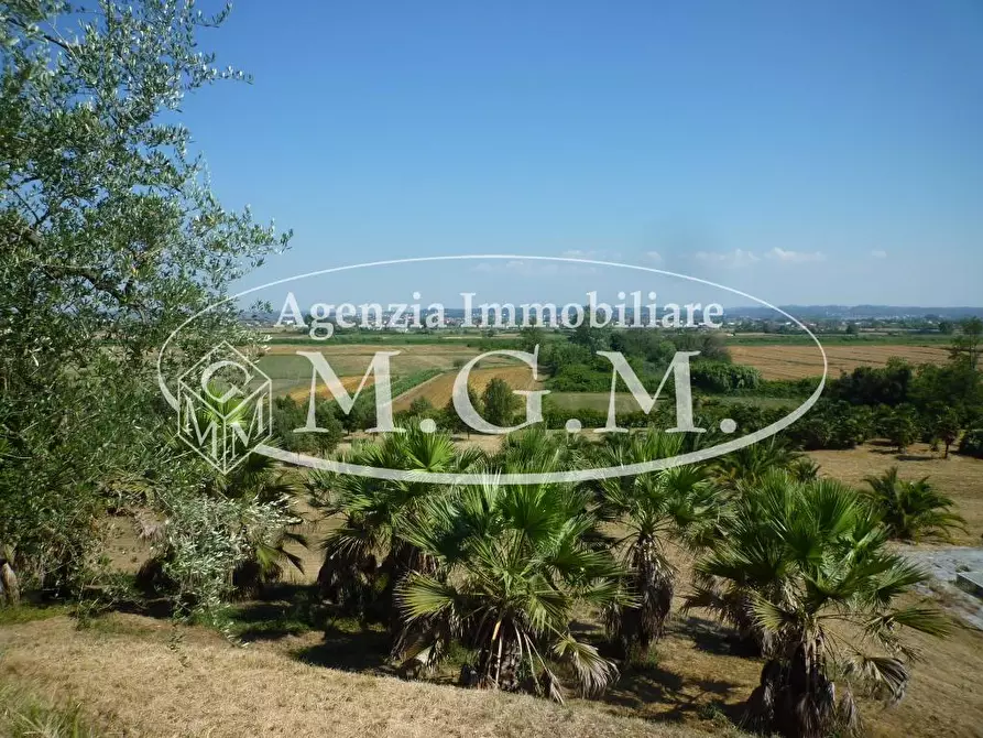 Immagine 21 di Casa colonica in vendita  a Castelfranco Di Sotto