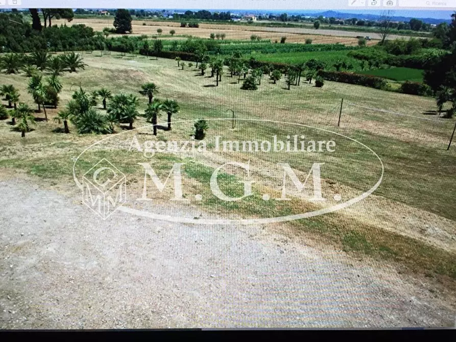 Immagine 7 di Casa colonica in vendita  a Castelfranco Di Sotto
