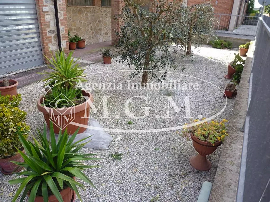 Immagine 11 di Appartamento in vendita  a Pontedera