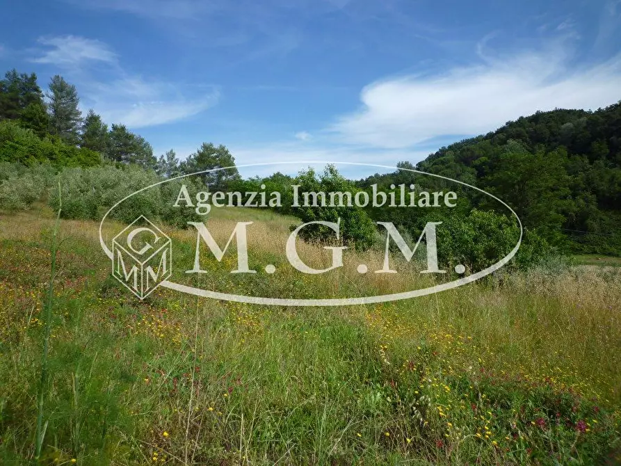 Immagine 3 di Terreno agricolo in vendita  a Palaia