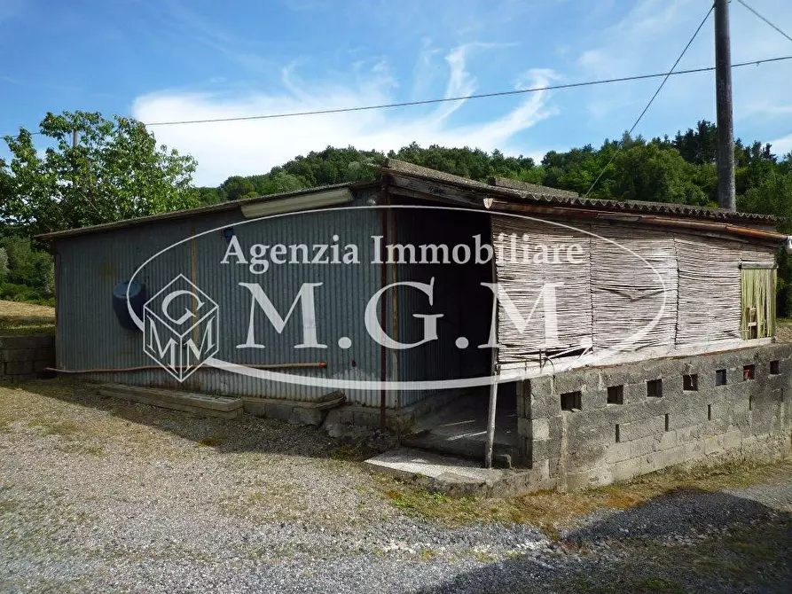 Immagine 9 di Terreno agricolo in vendita  a Palaia