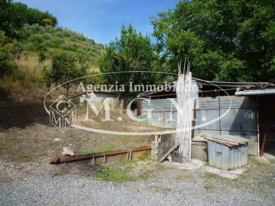 Immagine 10 di Terreno agricolo in vendita  a Palaia