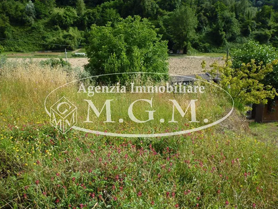 Immagine 4 di Terreno agricolo in vendita  a Palaia