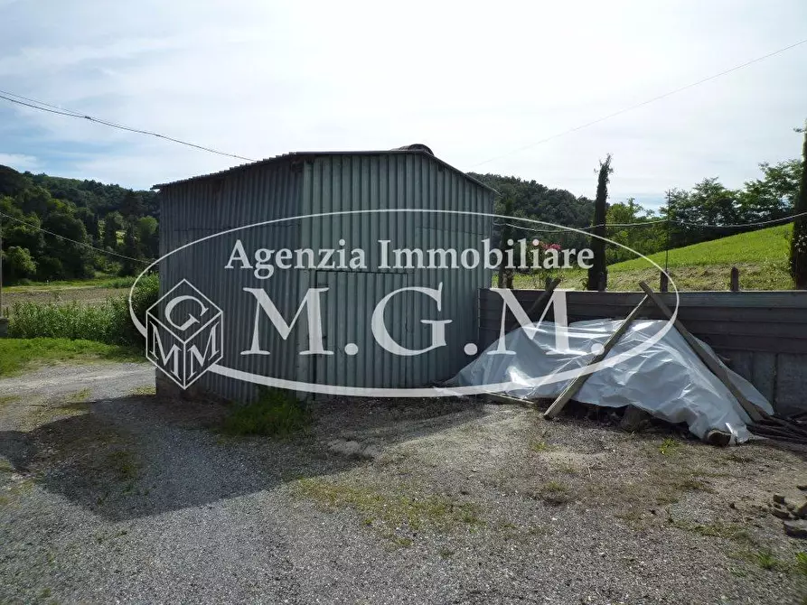 Immagine 8 di Terreno agricolo in vendita  a Palaia