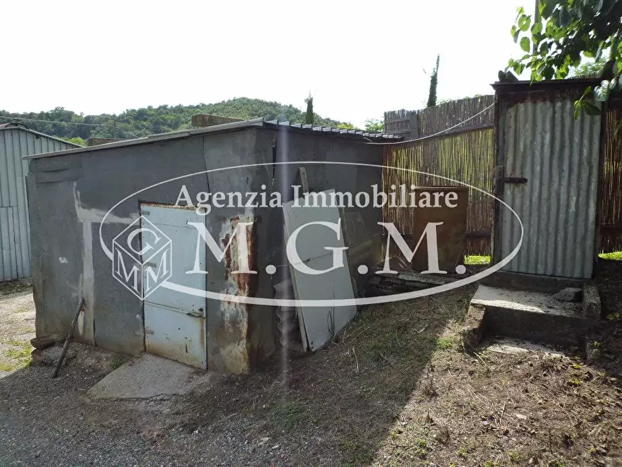 Immagine 11 di Terreno agricolo in vendita  a Palaia