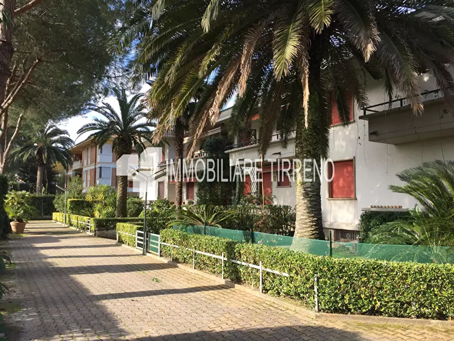 Immagine 2 di Appartamento in affitto  a Massa