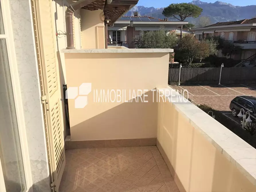Immagine 12 di Appartamento in affitto  a Massa