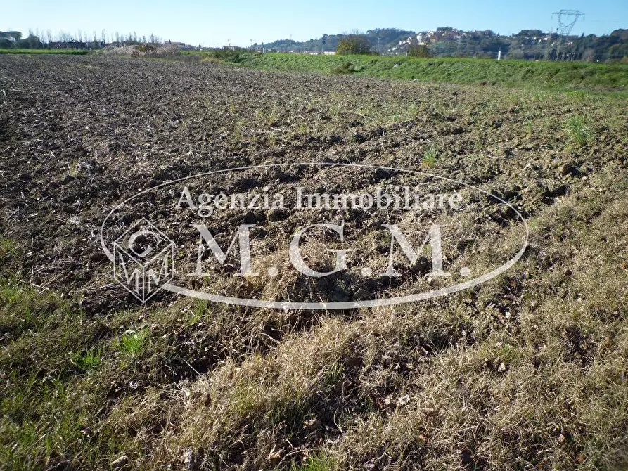 Immagine 1 di Terreno agricolo in vendita  a Santa Maria A Monte