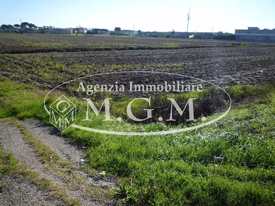 Immagine 2 di Terreno agricolo in vendita  a Santa Maria A Monte