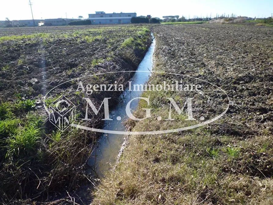 Immagine 4 di Terreno agricolo in vendita  a Santa Maria A Monte