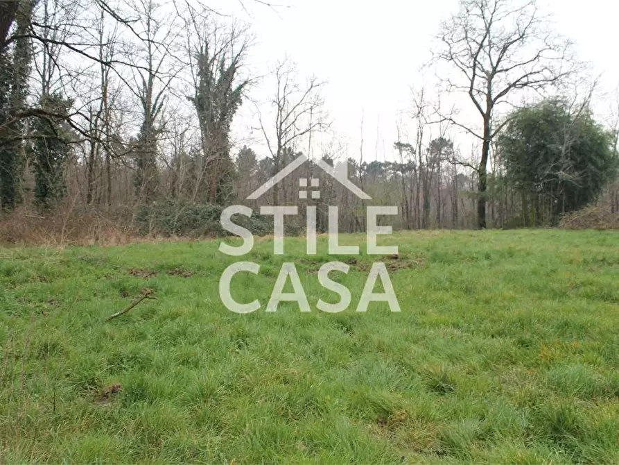 Immagine 4 di Casa colonica in vendita  a Castelfranco Di Sotto