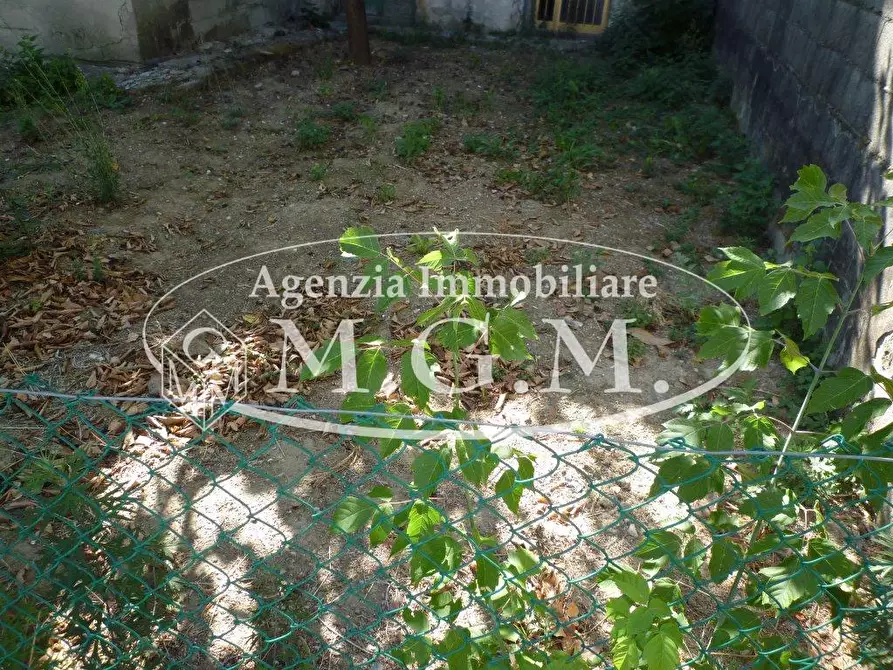 Immagine 30 di Terratetto in vendita  a Santa Maria A Monte