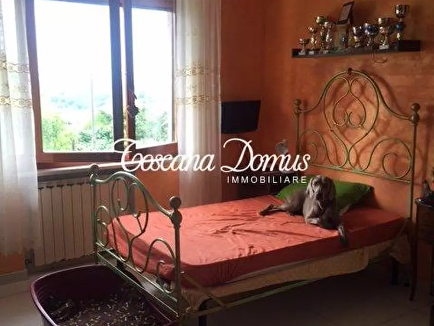 Immagine 7 di Appartamento in vendita  a Siena