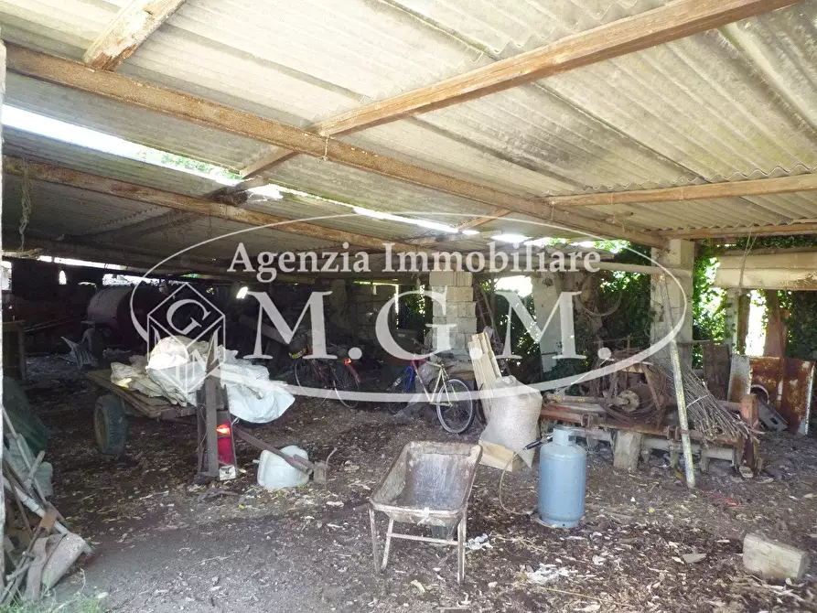 Immagine 20 di Casa indipendente in vendita  a Santa Maria A Monte