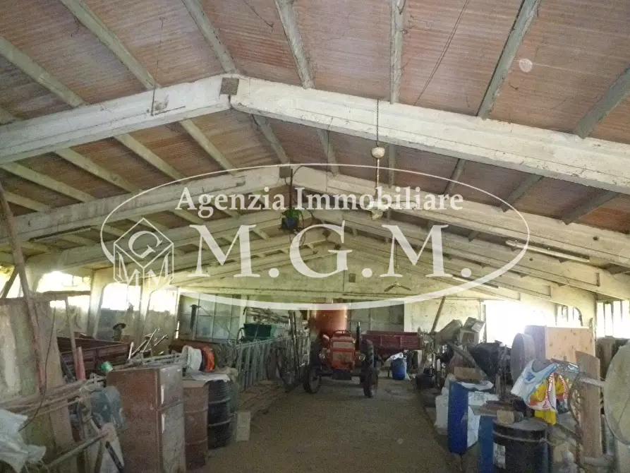 Immagine 25 di Casa indipendente in vendita  a Santa Maria A Monte