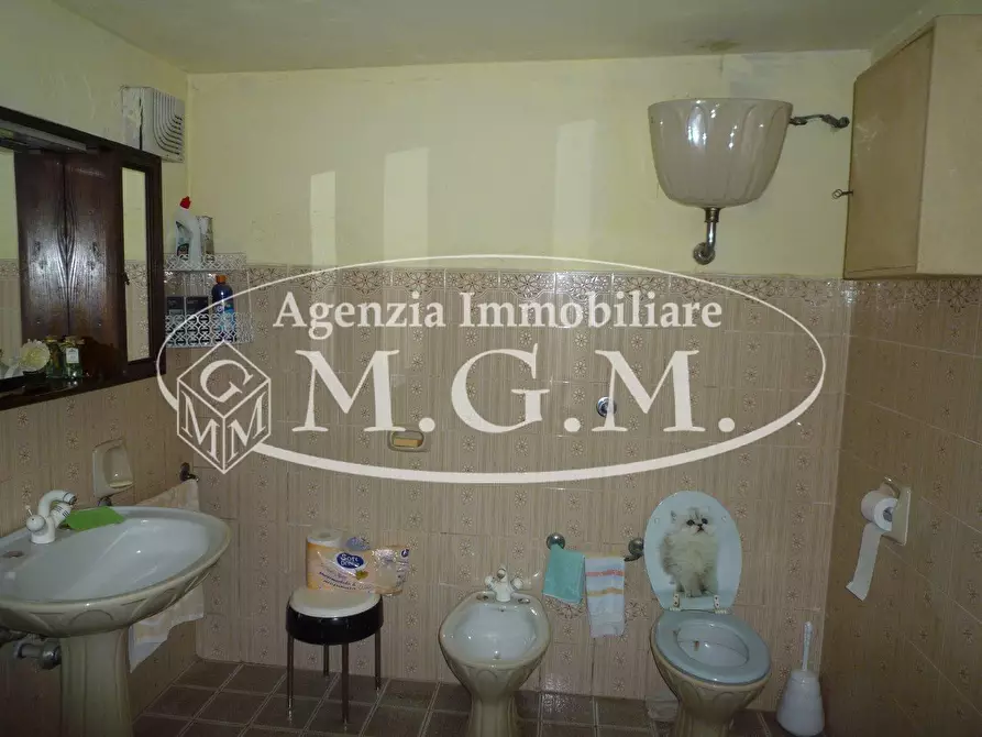 Immagine 9 di Casa indipendente in vendita  a Santa Maria A Monte
