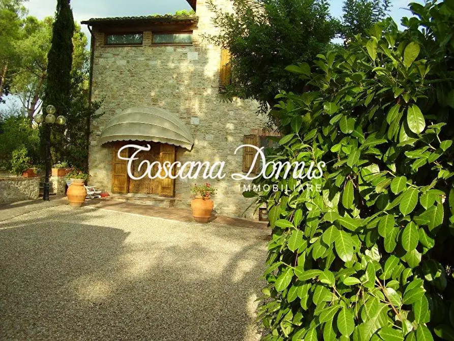 Immagine 3 di Casa colonica in vendita  a Asciano