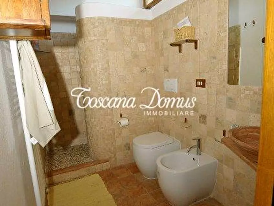 Immagine 4 di Casa colonica in vendita  a Asciano