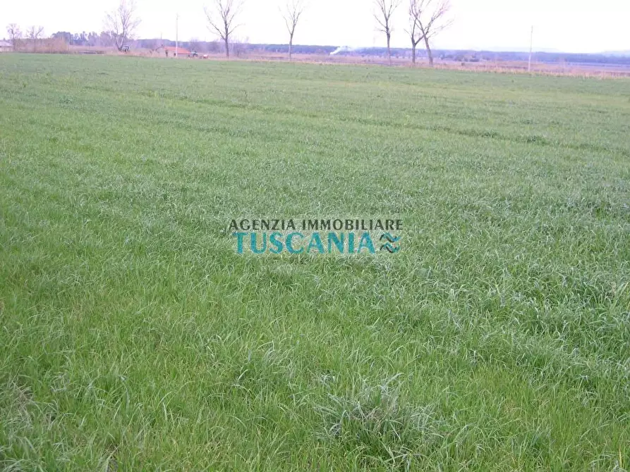 Immagine 1 di Terreno agricolo in vendita  a Castagneto Carducci
