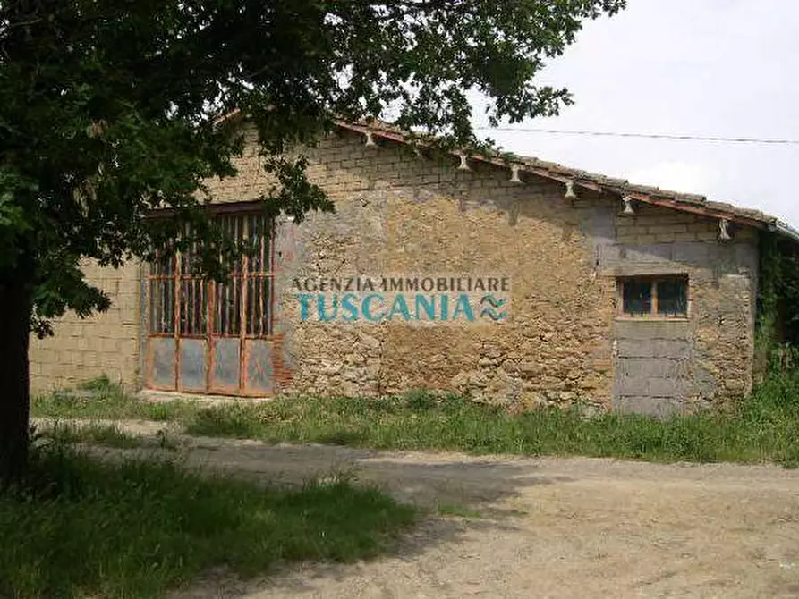 Immagine 2 di Rustico / casale in vendita  a Volterra
