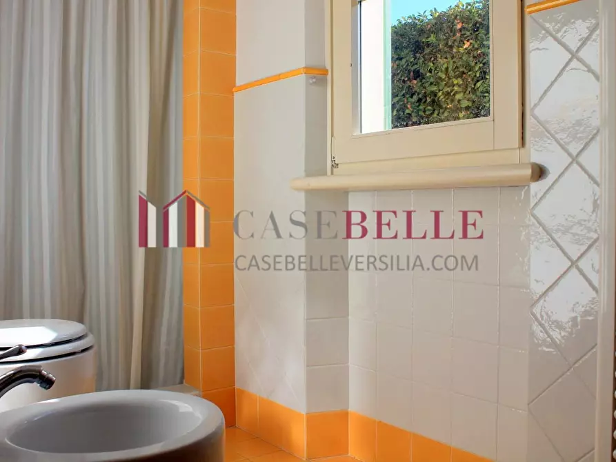 Immagine 18 di Casa semindipendente in affitto  a Pietrasanta