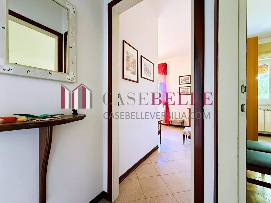 Immagine 20 di Appartamento in affitto  a Pietrasanta