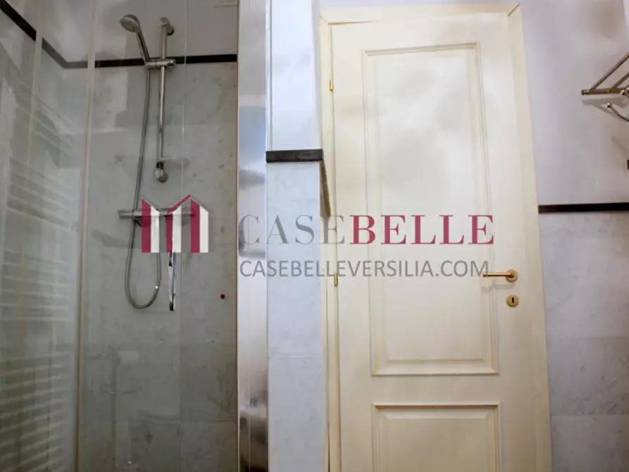 Immagine 12 di Villa in affitto  a Pietrasanta