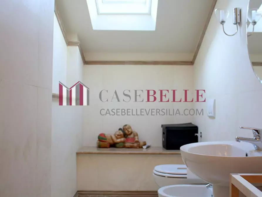 Immagine 23 di Villa in affitto  a Pietrasanta