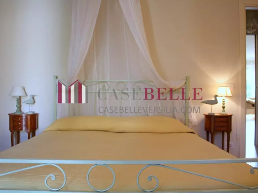 Immagine 13 di Villa in affitto  a Pietrasanta