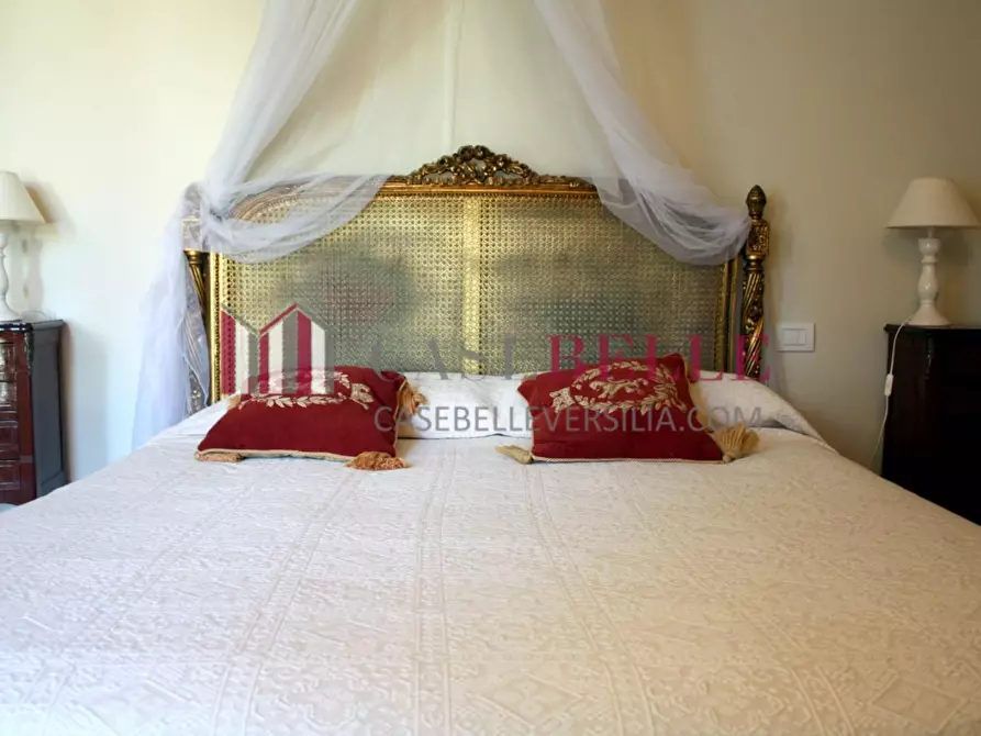 Immagine 25 di Villa in affitto  a Pietrasanta