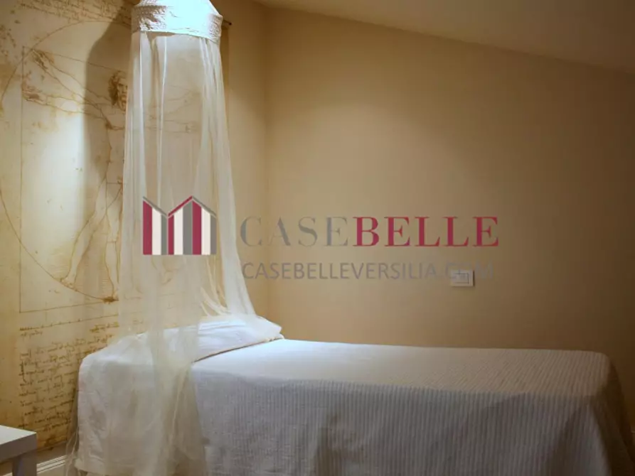 Immagine 20 di Villa in affitto  a Pietrasanta