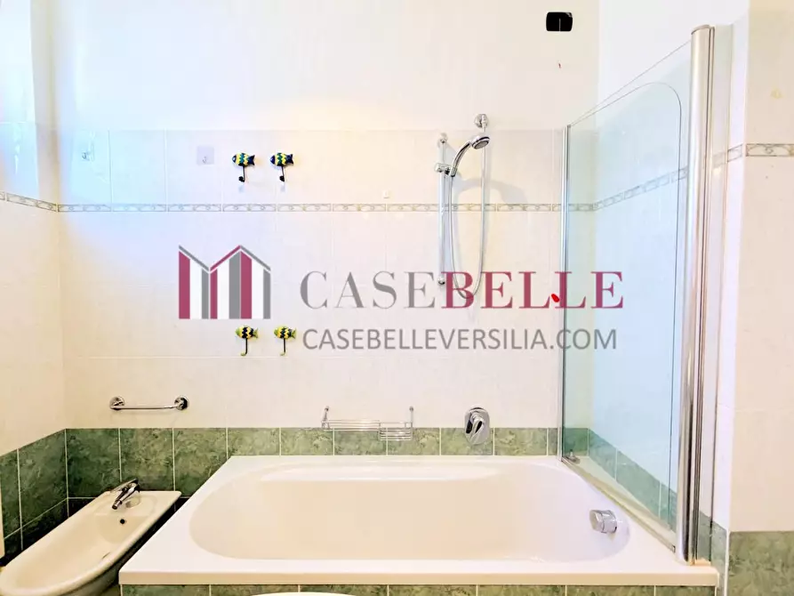 Immagine 23 di Appartamento in affitto  a Pietrasanta