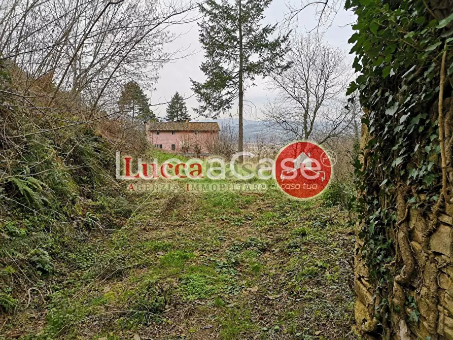 Immagine 2 di Villa in vendita  a Lucca