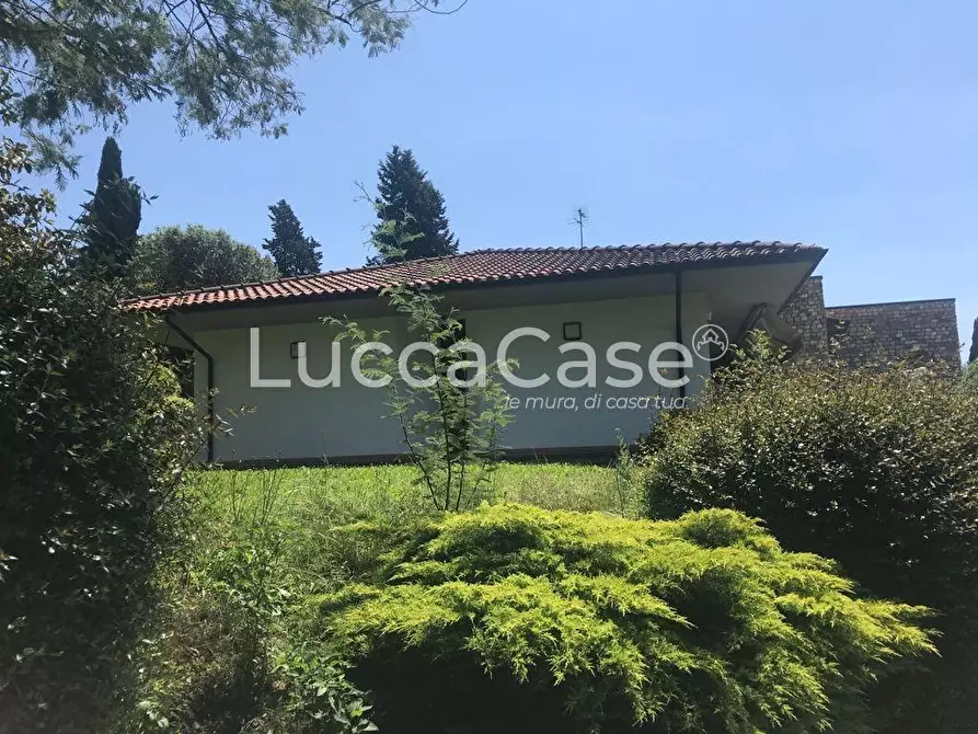 Immagine 66 di Villa in vendita  a Lucca