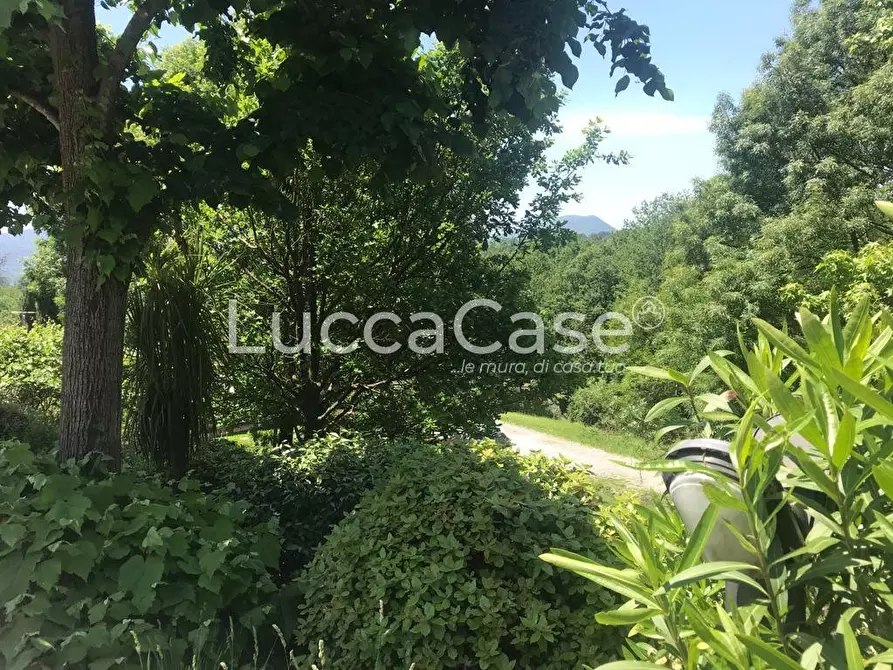 Immagine 63 di Villa in vendita  a Lucca