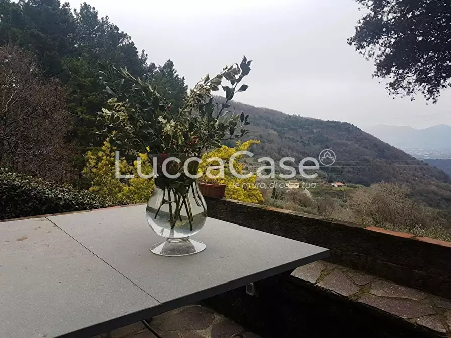 Immagine 4 di Casa colonica in vendita  a Lucca