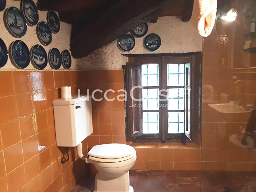 Immagine 12 di Casa colonica in vendita  a Lucca