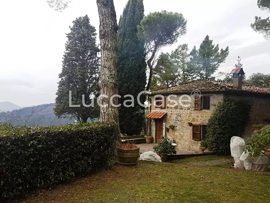 Immagine 17 di Casa colonica in vendita  a Lucca