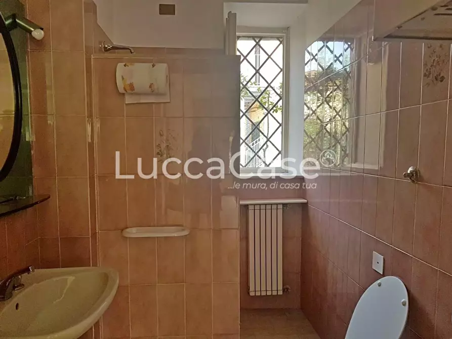 Immagine 5 di Magazzino in affitto  a Lucca