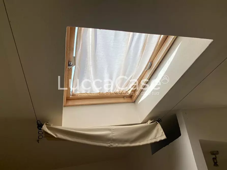 Immagine 13 di Ufficio in affitto  a Lucca