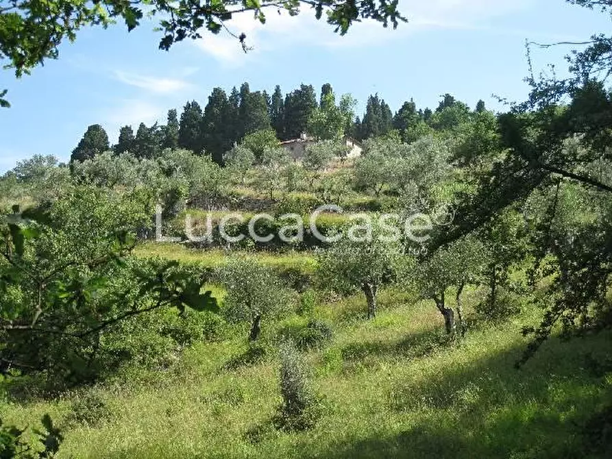 Immagine 4 di Casa colonica in vendita  a Montemurlo