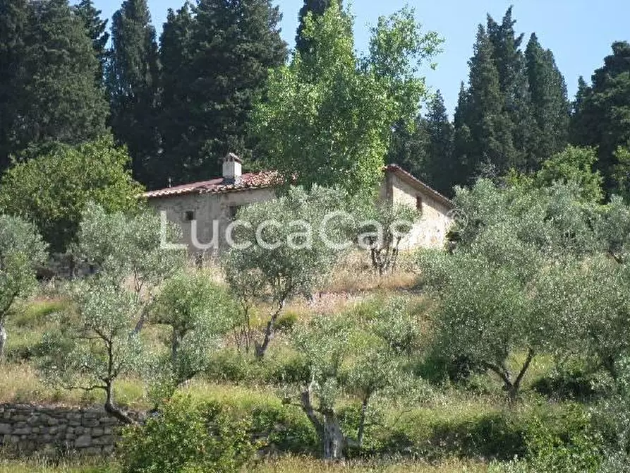 Immagine 5 di Casa colonica in vendita  a Montemurlo