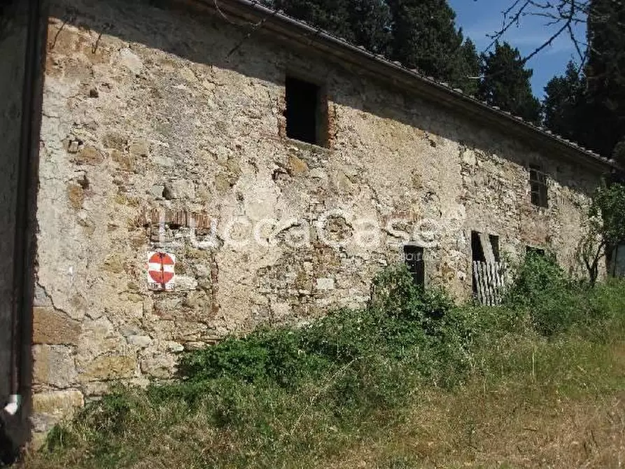 Immagine 6 di Casa colonica in vendita  a Montemurlo