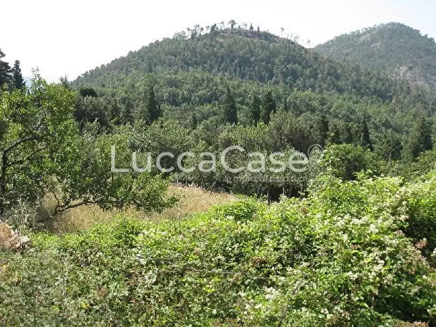 Immagine 3 di Casa colonica in vendita  a Montemurlo